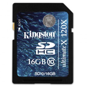 Kingston 16GB Class 10 120X Ultimate Secure Digital High Capacity SDHC Flash Card